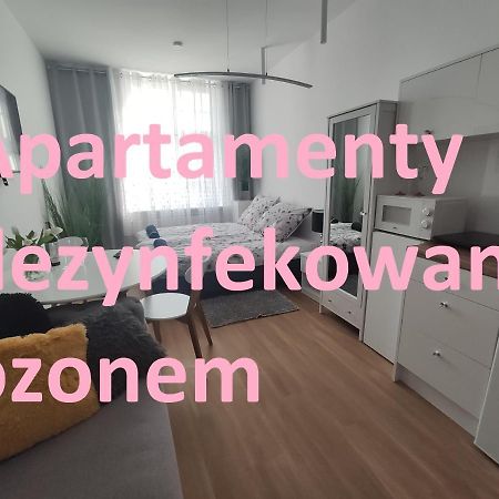 Apartament Elblag Goodenergy - Stare Miasto, Oldtown, Altstadt Extérieur photo