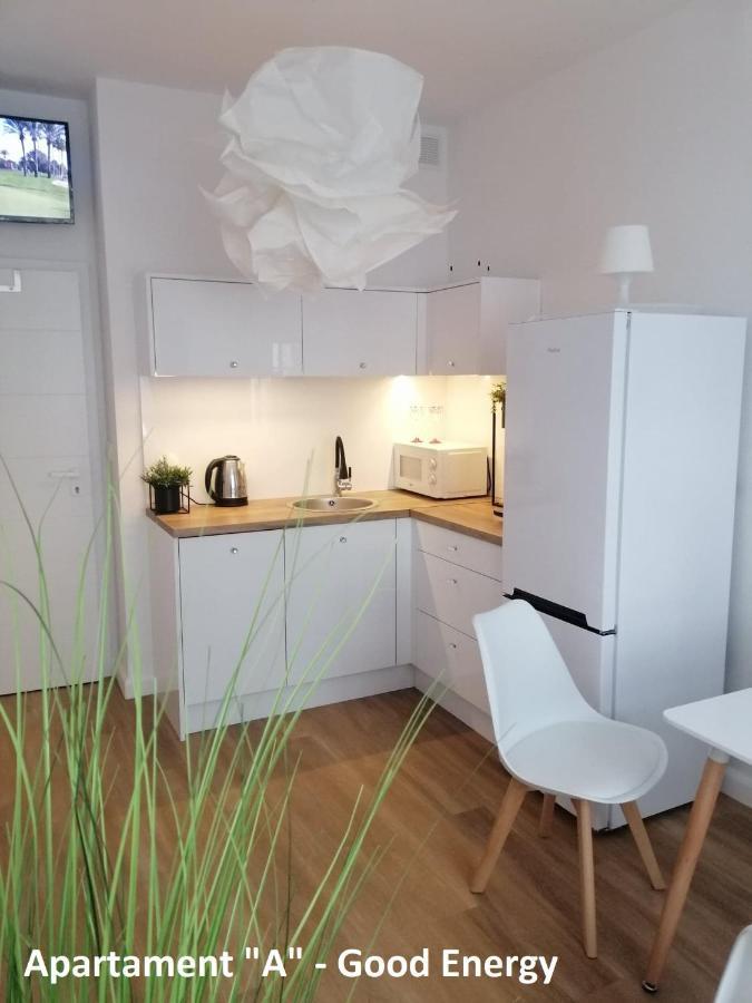Apartament Elblag Goodenergy - Stare Miasto, Oldtown, Altstadt Extérieur photo