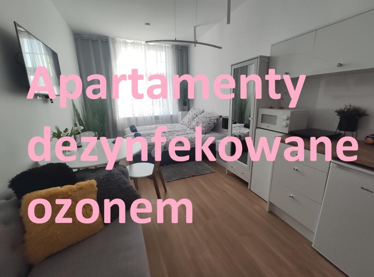 Apartament Elblag Goodenergy - Stare Miasto, Oldtown, Altstadt Extérieur photo